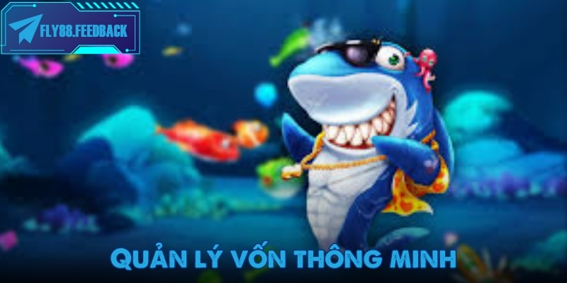Bắn cá Fly88 Quản lý vốn thông minh để dễ thắng khi chơi bắn cá Fly88